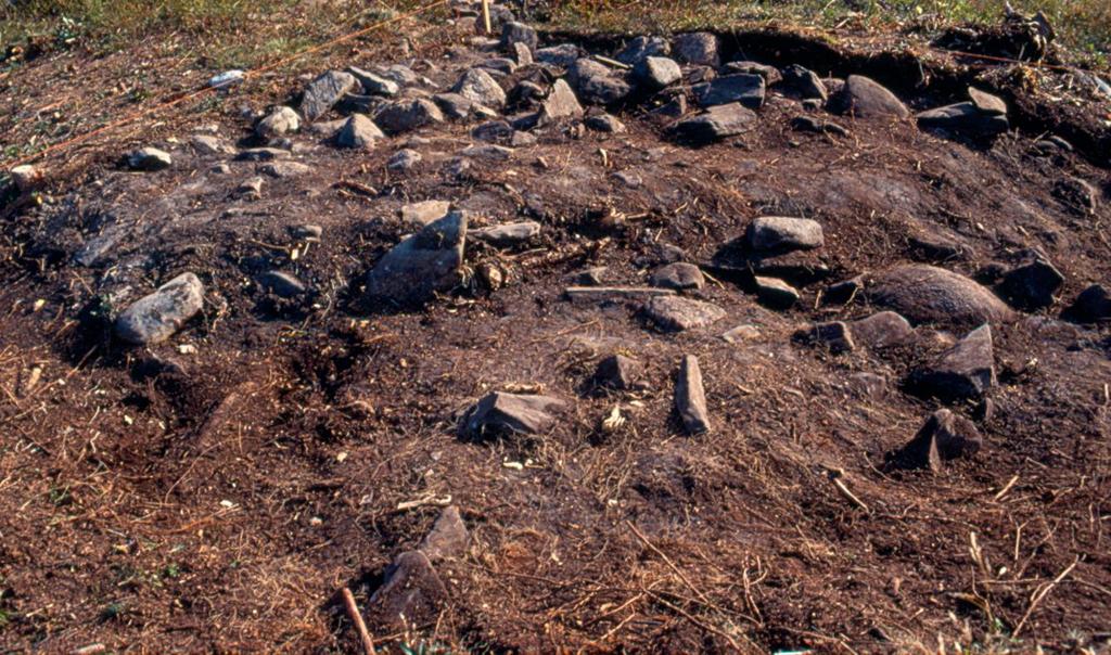 INLEDNING Inför byggandet av ny sträckning av väg E 4, mellan Utansjö och Gallsätter, gjordes under 1989-90 en inventering av aktuellt vägområde (Eliasson 1992).