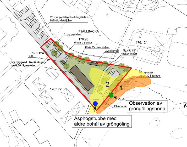 Fördjupad artinventering Häckande fåglar Vid de båda fågelinventeringsbesöken noterades relativt få fåglar.