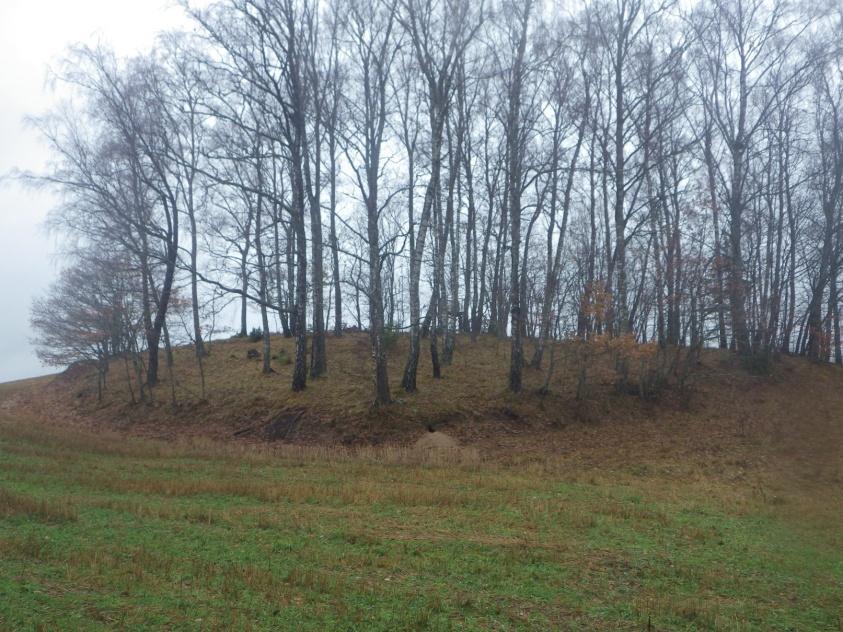 15 Område 6 0,2 ha Åkerholme (Biotopskydd) Klass 3, Påtagligt naturvärde Området har ett påtagligt biotopvärde knutet till gamla björkar.