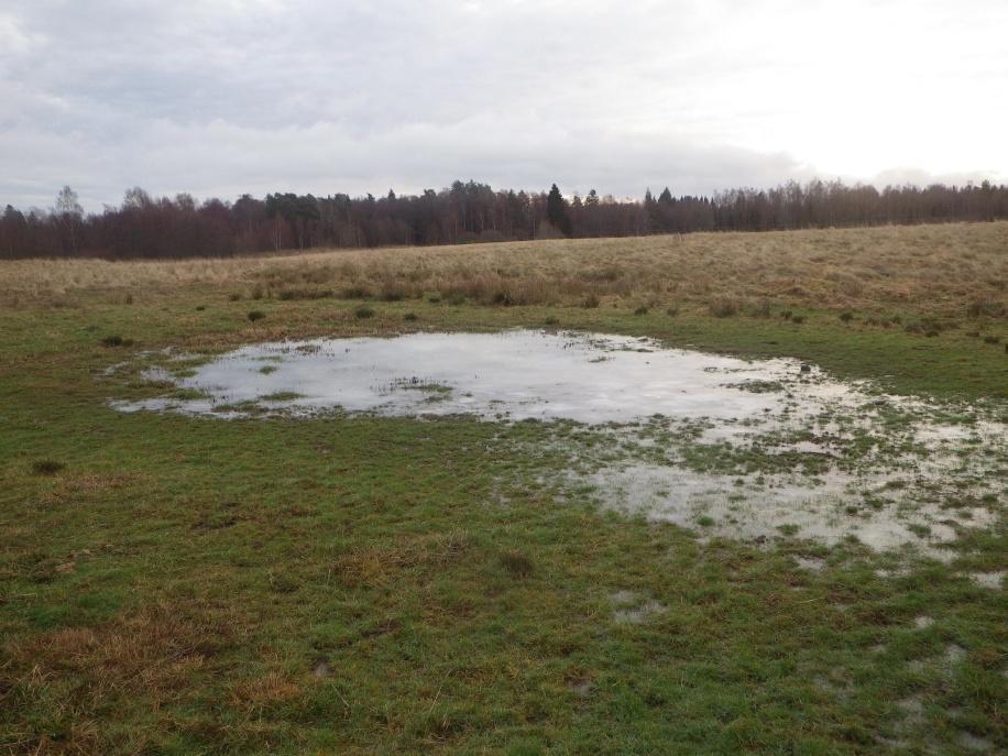 25 Område 16 0,06 ha Damm (Biotopskydd) Klass 3, Påtagligt naturvärde? Området har ett påtagligt biotopvärde då det handlar om en ovanlig naturtyp som minskat i utbredning i landskapet.