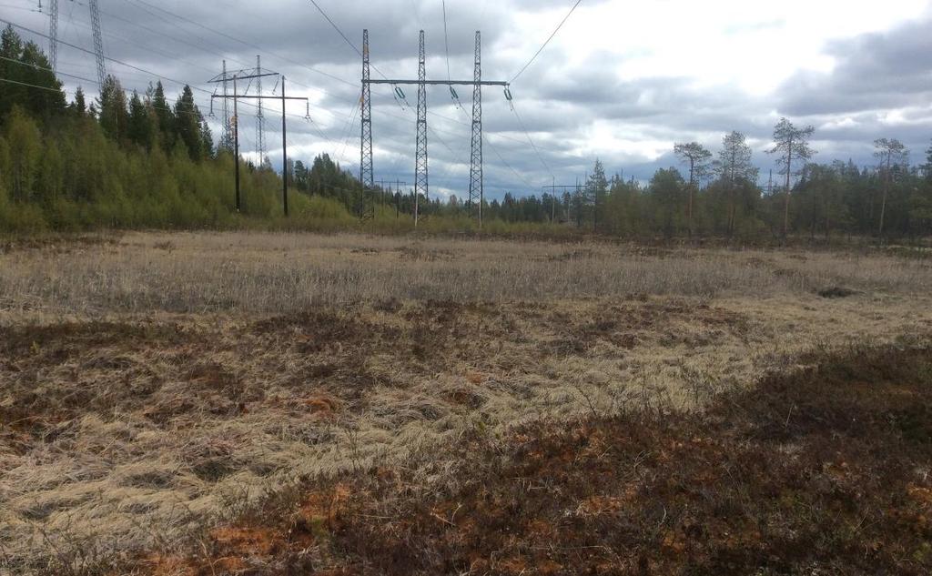 7.1.1 Område 1: Våtmark 8(19) Naturvärdes klass Visst naturvärde (naturvärdesklass 4). Naturtyp Myr Beskrivning Mindre våtmark under kraftledning i anslutning till tjärnen.