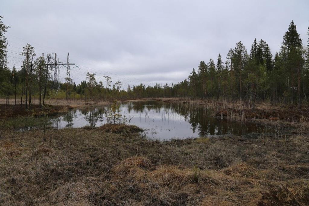 7.1.2 Område 2: Mindre tjärn Naturvärdesklass Visst naturvärde (Naturvärdesklass 4).