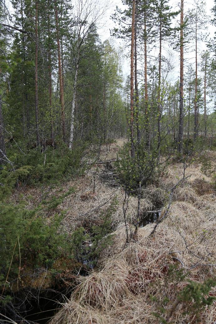 7.1.3 Område 3: Bäck Naturvärdesklass Påtagligt naturvärde (naturvärdesklass 3, preliminär bedömning) Naturtyp Vattendrag Naturvårdsarter Inga dokumenterade eller påträffade naturvårdsarter.