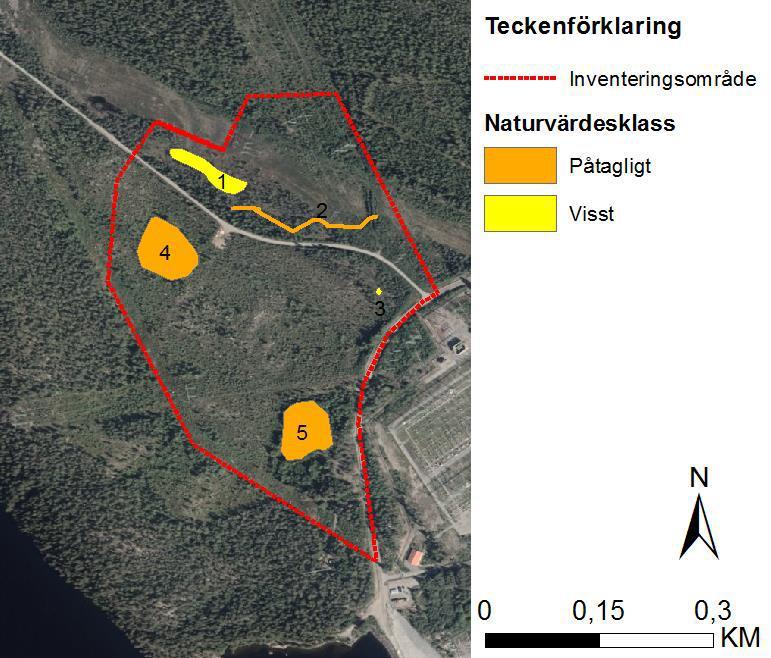 projekt tidigt försöka undvika påverkan helt och i andra hand minimera påverka och söka anpassa lösningar så att arten inte påverkas negativt. 3.