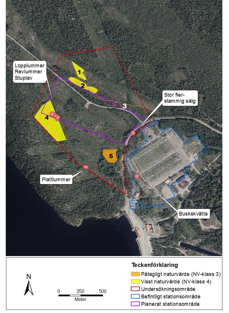 Figur 4: Undersökningsområde, befintligt och planerat stationsområde,