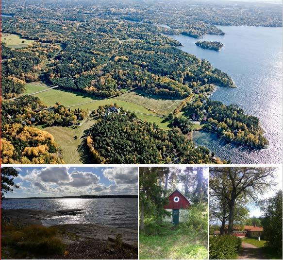 DETALJPLAN FÖR Torsby 1: 342 - Dragudden VÄRMDÖ KOMMUN PLANBESKRIVNING Antagandehandling PBL (2010:900) i