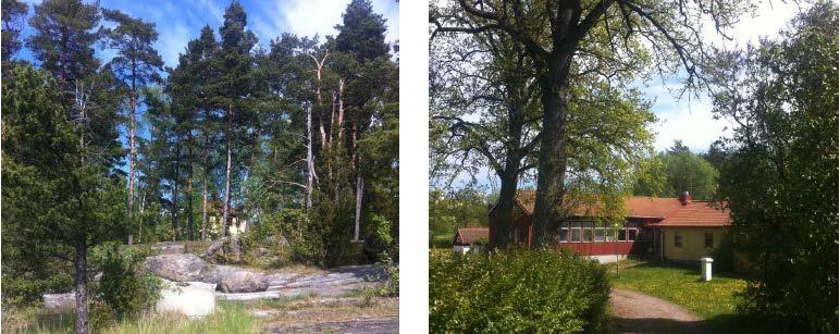 Sida 6 (41) pekas området ut som lämpligt för nya bostäder dit kommunala vatten- och spillvattenledningar planeras att dras till. BEHOVSBEDÖMNING OM BETYDANDE MILJÖPÅVERKAN I enlighet med 6 kap.