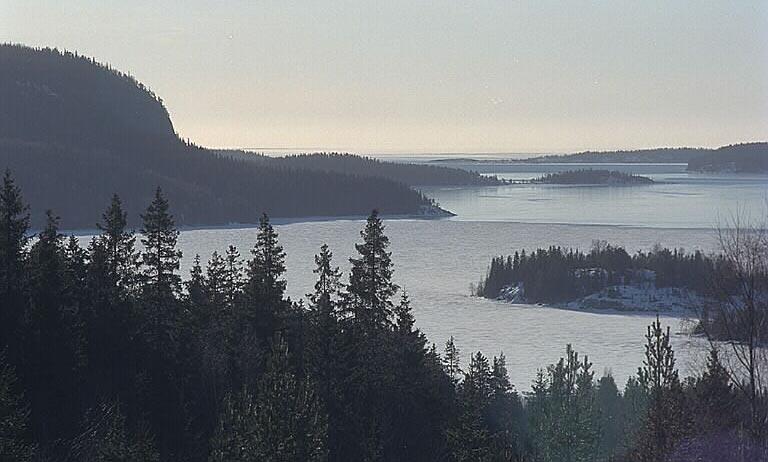 D j u p s t u d i e r i t r e ä n Gaviksfjärden, Höga kusten, Västernorrand Foto: Bengt A Lundberg, Raä b u 34e I detta kapite studeras tre än mer detajerat genom jämföreser inom änet och mean de tre