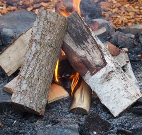 Eld Elden var viktig. Elden ger värme och man kan laga mat när man har en eld. Det finns flera sätt att starta en eld. En eld kan startas genom t.ex.