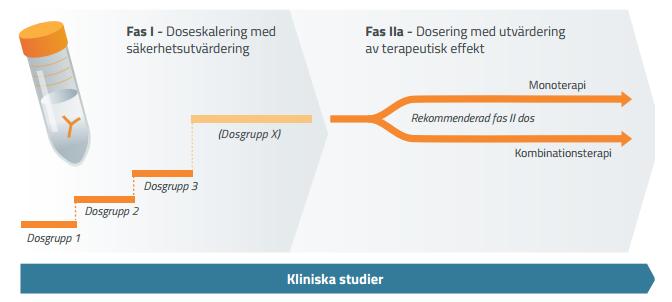 Cantargias initiala kliniska fas I/IIa-studie kommer att inkludera både monoterapi och kombinationsterapi där CAN04 kombineras med existerande standardbehandling.