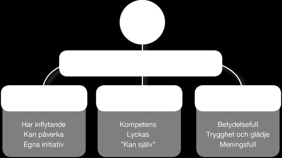 Vi har också en spelidé och en kravbild som stöd i vårt arbete. Den speglar hur vi vill utbilda och ser på distriktets spelare.