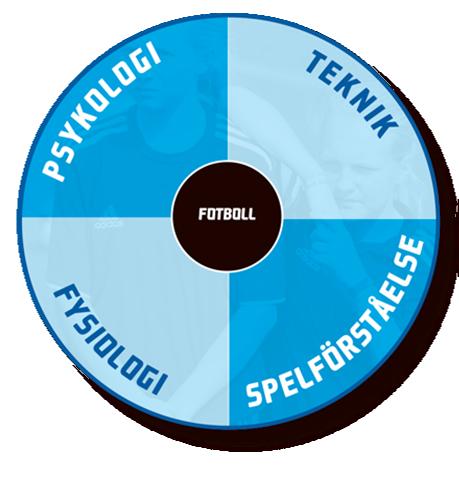 KRAVBILD SPELARE Grundläggande god spelförståelse. God bollkontroll, kort och långt tillslag. God löpkapacitet, snabbhetsuthållighet. Goda anfalls- och försvarsegenskaper.