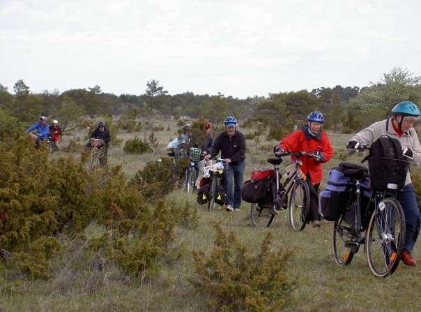 Cykel Cykel är uppdelat på två olika verksamheter, landsvägscykling och mountainbike. Grenledare för landsvägscykling har Rune Andersson varit. En cykeltur på hemmaplan ägde rum den 23 april.