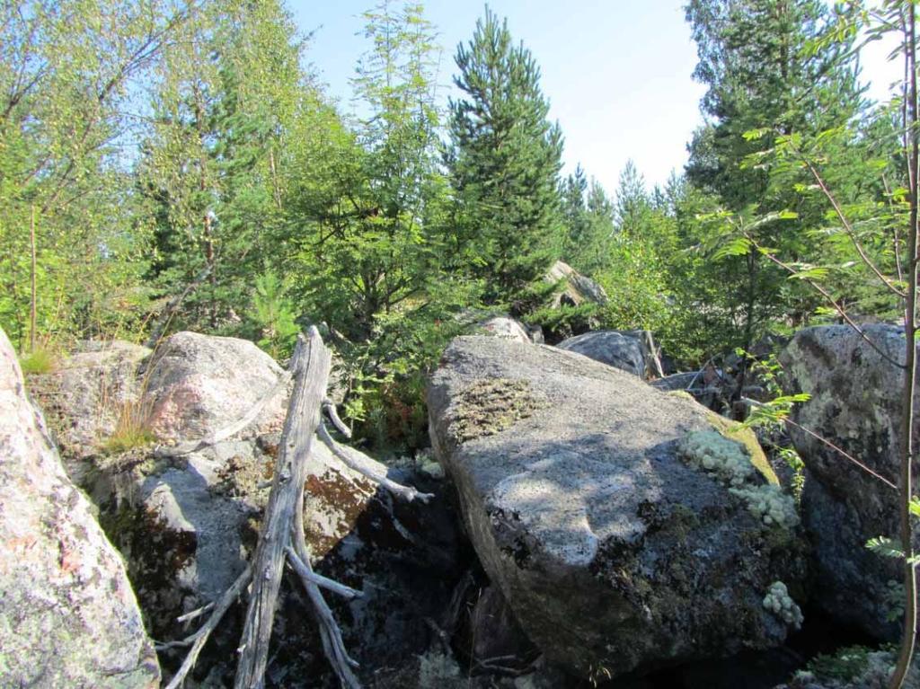 TOPOGRAFI OCH FORNLÄMNINGSMILJÖ Utredningsområdet utgörs främst av kuperad stor- och rikblockig moränmark. Det förekommer även ett mindre område med hällmark.