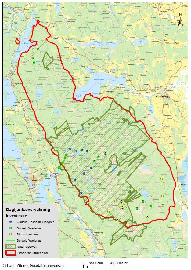 Karta över brandområdet med inventerade punkter/slinga Referenser: Svensk dagfjärilsövervakning www.dagfjarilar.lu.