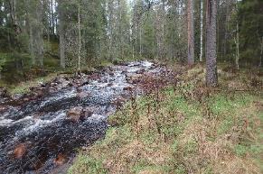 Åns sträcka utgör nyckelbiotop strömmande vattendrag i skog, kvillområden och blockrika