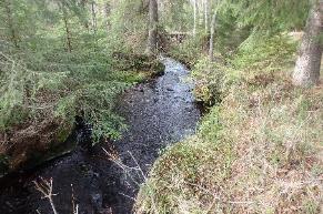 5. Hånkabäcken Koordinater: 6651301:1464902 6650449:1464443 Undersökt sträcka: Från utflödet i Norrabredsjön