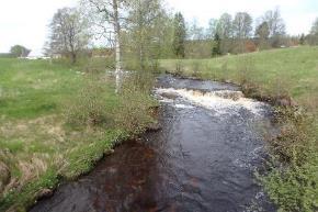 Ån är klar och något humusfärgad med botten av sten, block och grus.