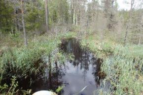 Bäckens botten består av blandat mindre block, sten, och grus. En flottningsränna går från utflödet ur Lammtjärn en längre sträcka vid sidan om vattendraget.