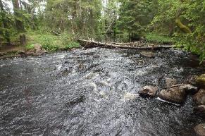 Ån är påverkad av tidigare brukssamhälle genom kraftverk, dämmen, rensningar och kanaler.