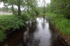 Tidigare påverkan gör att vattendraget inte uppfyller den konnektivitet och kontinuitet som det borde.