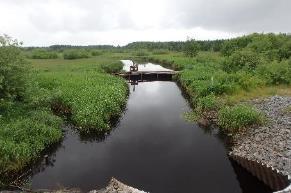 29. Stavån Koordinater: 6552756:1435220 6549265:1436370 Undersökt sträcka: Från utflödet i Teen till Åtorp. Bredd: Ca 4,5 m. Djup: Ca 0,3 m. Arter:?