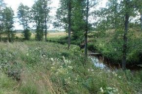 Ytterligare bäck från Norra Asplången tillkommer innan de bildar Aspaån och rinner ut i Vättern. Två dammar finns i Aspaåns huvudfåra. Området präglas av äldre kulturmiljö.