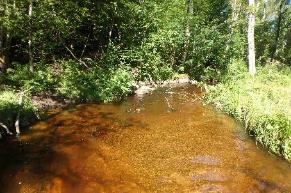 Beskrivning: Ett stort, vilt strömmande och naturskönt vattendrag som har sitt avrinnigsområde i Rastälven ovan Nora. Ovan Norasjön byter vattendraget namn till Bornsälven.