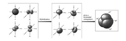 Den fria C-atomens valensorbitaler: 2s, 2p x, 2p y, och 2p z. ybridisering av C-atomens 2s orbital och de tre 2p orbitalerna till fyra sp 3 orbitaler Copyright Cengage Learning.