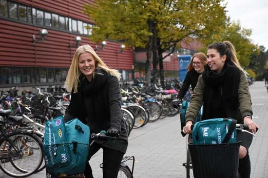 Agenda Vilka som jobbar med programmet Programhemsidan Kurshemsidor LISAM & Polopoly