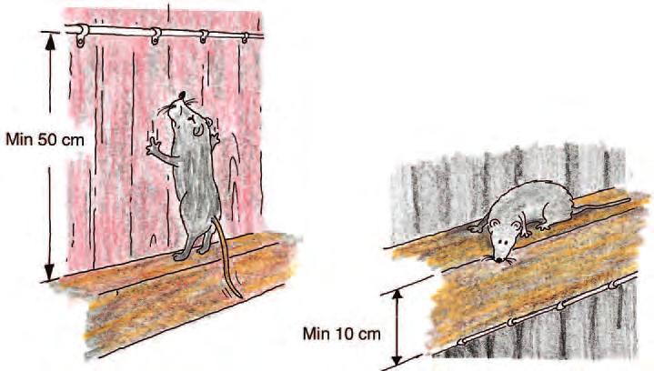 Bild 5. För att undvika råttangrepp på kablar bör de placeras minst 50 cm över och minst 10 cm under horisontella ytor.