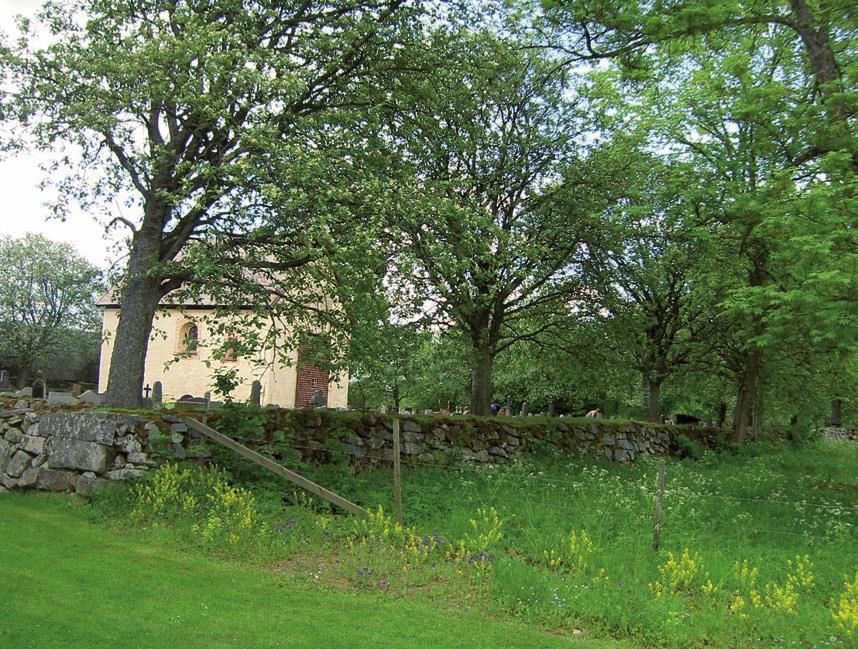 Sammanfattning Dädesjös två kyrkor den gamla och nya omges av kyrkogårdar av helt olika karaktär och ålder. Kyrkogården kring Dädesjö gamla kyrka har anor från medeltiden och en småskalig karaktär.