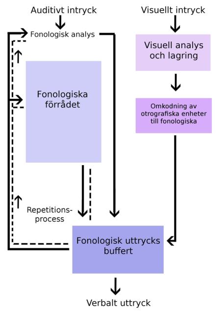 uppfattning är att de visuospatiala skissblocket i sig inte tar hand om och processar perceptuella intryck.