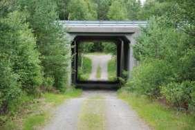Bro över enskild väg Tulltjärn Nr 22 5 x 4,7 x 24,2 (0,97) Åtgärd på lång sikt. Förbättrat skydd mot väg 40 med hjälp av faunaskärmar. På lång sikt nära Götalandsbanan.
