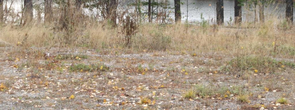 0 meter från aktuell rastplats. 4.2.5. Naturmiljö Området är beläget inom 100 meter från Umeälven och omfattas således av det generella strandskyddet.