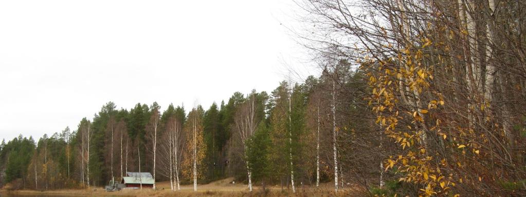 Figur 4.2-3 Vy mot campingplatser vid vattnet 4.2.7. Rennäring Aktuellt område ingår i Ubmeje tjeälddie fjällsamebys vinterbetesmarker.