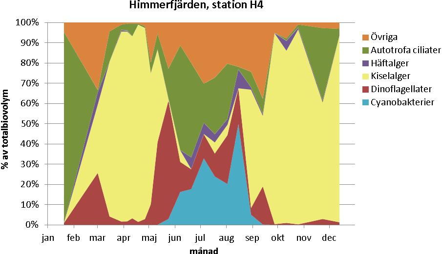 Figur 5.1.b. Olika växtplanktongruppers andel av den totala biovolymen vid station H4, 2011. Den autotrofa ciliaten Mesodinium rubrum förekom som mest efter vårblomningen.