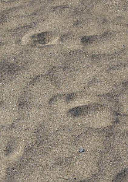 tersom det är relativt stora mängder sand som förflyttas vid dessa tillfällen.