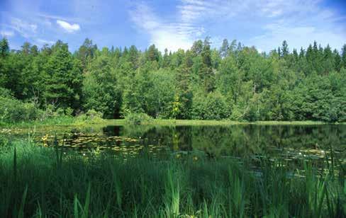 I Botkyrka fis det 35 sjöar, 15 vattedrag, 4 havsfjärdar och stora mägder grudvatte i delar av Uppsalaåses stråk.