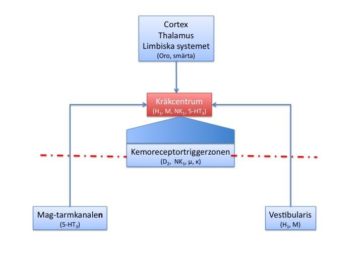 Illamående & kräkning Antiemetika SAHLGRENSKA AKADEMIN Det finns få jämförande studier kring de vanliga antiemetiska läkemedlens användbarhet vid specifika sjukdomstillstånd.