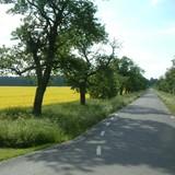 Projektägare: AgroVäst Livsmedel AB.