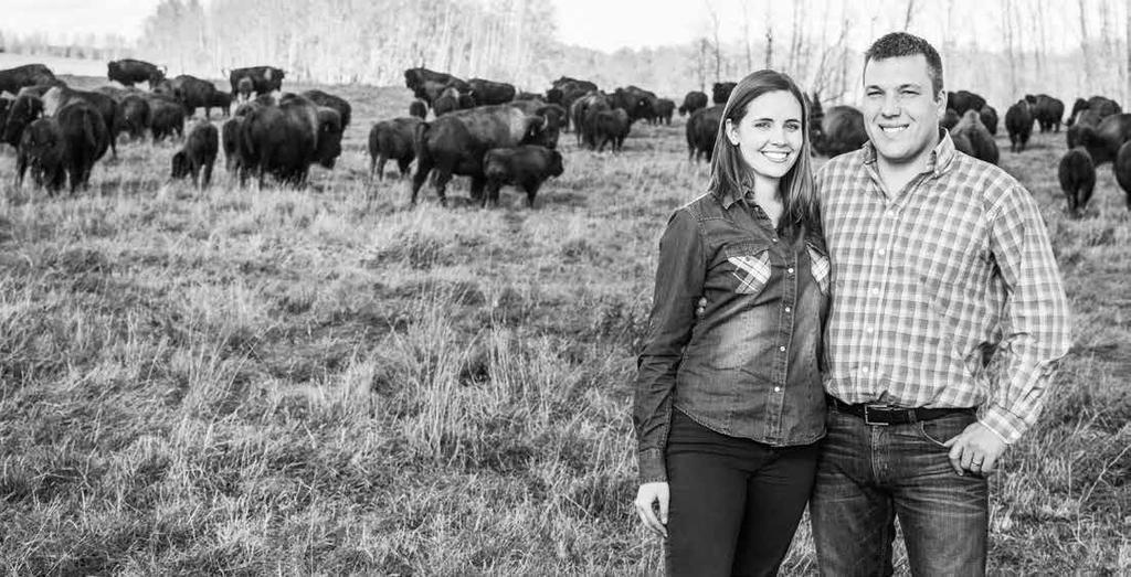 BIOLOGISKT REGEL NR. EN OSLAGBAR Variation AV KÖTT KATELYN OCH ROGER FRÅN CANADIAN RANGELAND BISON I LACOMBE, ALBERTA. PÅLITLIGA LEVERANTÖRER AV SLÄTTBISON.