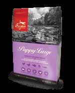 näringsrika WholePrey -förhållanden. ORIJEN PUPPY LARGE PROTEINRIK FÖR ATT STÄRKA MUSKELMASSAN HOS STÖRRE RASER, EN BEGRÄNSAD MÄNGD KALORIER FÖR EN HÄLSOSAM VIKTNIVÅ.