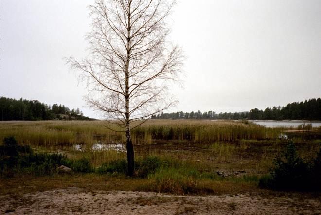 Rukehamn, Brommö, 2003