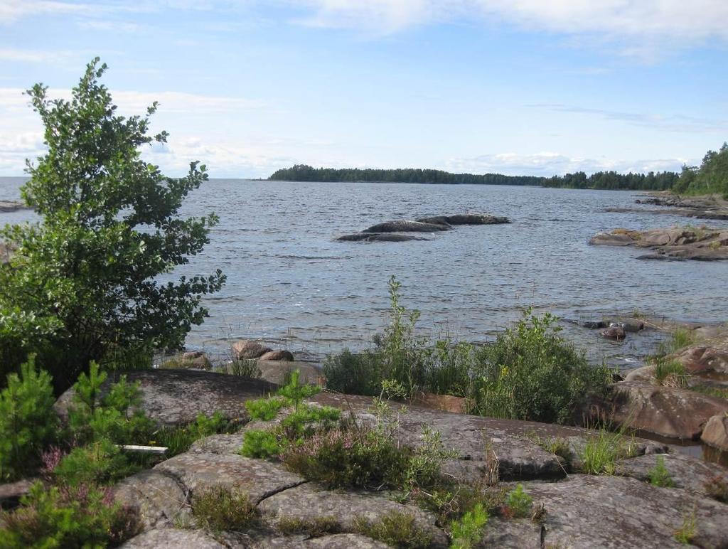 Inledning Sedan 2000 har Vänerns stränder övervakats för att se hur vegetationen förändras.