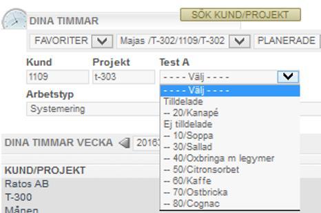 Användaren väljer en aktivitet och tidrapporterar på den.