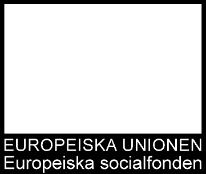 Att tänka på som lärare till flerspråkiga elever Elever har kunskap med sig in i klassrummet.