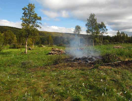 Inom projektet sätts också stängsel upp, det ordnas med spänger och det satsas på att