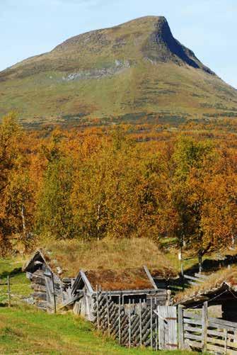 English Summary In the popular outdoor area surrounding Ramundberget, you can find remnants of elder agriculture.