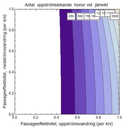 Figur 3. Figuren visar förväntade antalet lekande laxhonor i Bodträsksystemet (vänster) och Flarkån (höger).